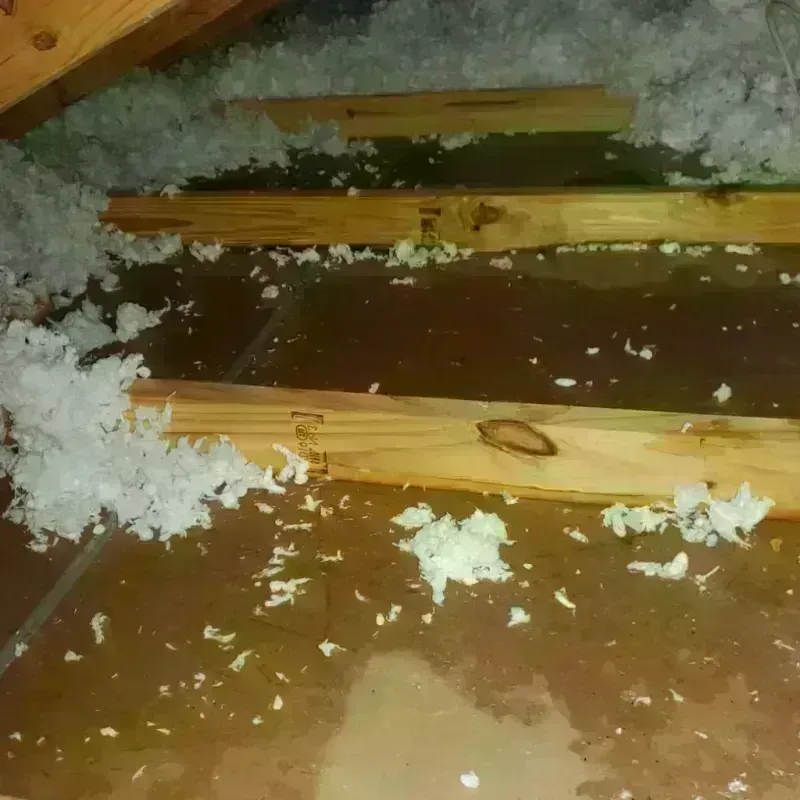 Attic Water Damage in Hartford, VT