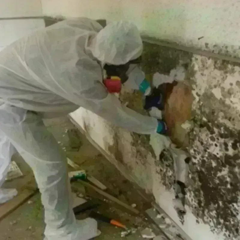 Mold Remediation and Removal in Hartford, VT